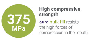 Aura Bulkfill Composite - Image 3